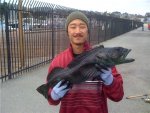 Lingcod_MCGPier_2010_4.10_MB.jpg