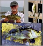 Boyd.G_2004.6_Goleta_Bass.Rockfish.jpg