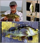 Boyd.G_2004.6_Goleta_Bass.Rockfish.jpg