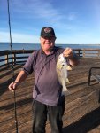 Spotfin.Croaker_Ventura.P_KJ_2019.1 .2.jpg