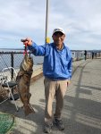 Lingcod_MCG.Pier_Teru.3.jpg