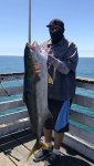 Yellowtail_Crystal_2019.2_Angel.jpg