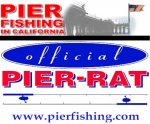 official pier rat blue.2.jpg