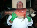 Sheephead_SIP_2007_Big1.2.jpg