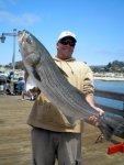 Striper_Capitola_2009_1.jpg