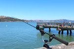 Paradise.Park.Pier_2016.9_Rod.Holder copy.jpg
