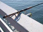 Rod Holders for Pier Fishing