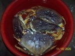 4crabs.JPG