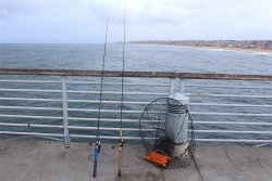 2021.3.25_Hermosa.Beach.Pier_Rods.1 copy.jpg