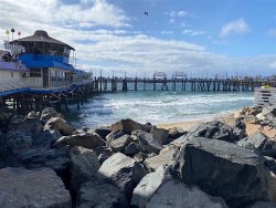 2021.3.25_Redondo.Beach.Pier.1 copy.jpg