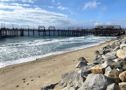 2021.3.25_Redondo.Beach.Pier.3 copy.jpg