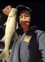 Striped.Bass_John.Sutter.P_2020.10_nolandw.jpg