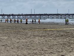 10.2021.10.11_Newport.Beach.Oil.Cleanup.7.jpg