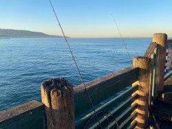 6.2021.10.13_Redondo.Beach.Pier.3.jpg