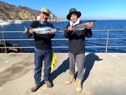 2021.12_Catalina.201_FishiNinja.Bonito.1.jpg