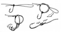 palomar_knot.jpg