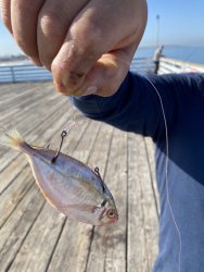 2022.5.14_Crystal.Pier.4_Yellowtail.Rig.jpeg