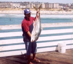 Yellowtail_Crystal_2004.10_42lb.jpg