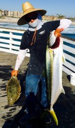 Yellowtail_Crystal_2017.6.14_Angel_40lb_1b.jpg