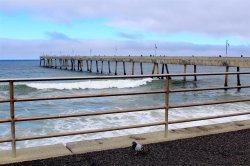 Pacifica.Pier_2022.8.1_Pier copy.jpg