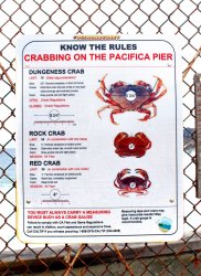 Pacifica.Pier_2022.8.4_Crabs copy.jpg