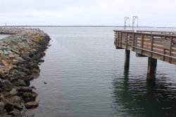 Pillar.Point.P_2022.8.2_Pier.Rocks copy.jpg