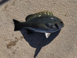 IMG_8413.JPG