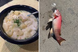 chowder-sheephead.jpg