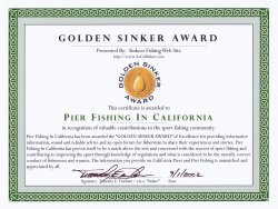 PFIC_Golden.Sinker.Award copy.jpg