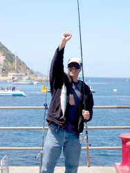 P.Mackerel_Cat_2010_Mole_Robert2X.JPG