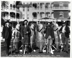 1905_Hotel.Del.Coronado_BSB_1 copy.jpg