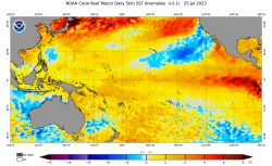 ct5km_ssta_v3.1_pacific_current.png