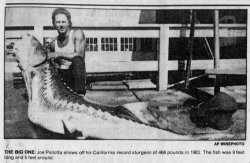 1987.9.24_The.San.Bernardino.County.Sun_Record.Sturgeon copy.jpg
