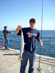 Barracuda_Cabrillo.Mole_2009_Redfish.JPG