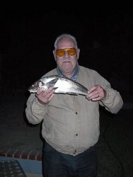 Corbina_SB_2001_9.1_Grandpa's_corbina.jpg