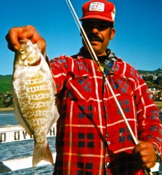 Surfperch_Pismo_2000_2a.JPG
