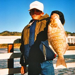 Surfperch_Pismo_2000_4.JPG