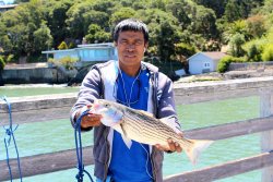Paradise.Park.Pier_2016.12_Striper.JPG