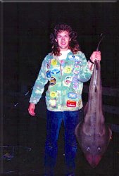 Shovelnose_Goleta_Pete_Wolf_2_2.jpg