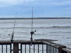IMG_4709.jpeg
