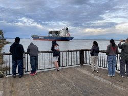 IMG_4725.jpeg