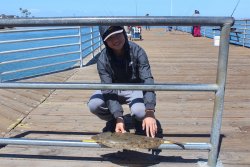 2. 2024.4.6_Ferry Landing Pier_Halibut.4.opy.jpg