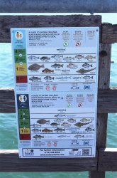 2024.4.8_Seal Beach Pier.5_Safe Fish.2 copy.jpg