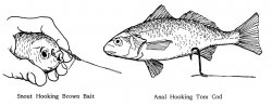 Hooking_Brown Bait.2.jpg