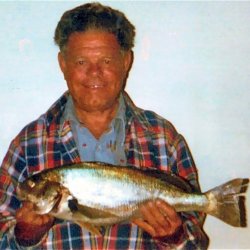 1982_Dad_SD_Spotfin.Croaker.1b.jpg