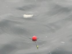 DSCN7705.JPG