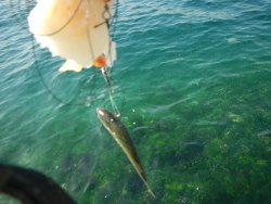 DSCN4955.JPG