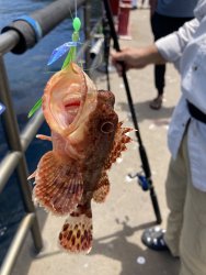 IMG_7638.jpeg