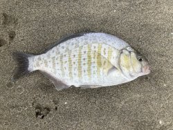 IMG_8555.jpg