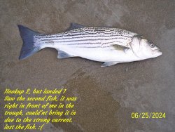 sc.JPG